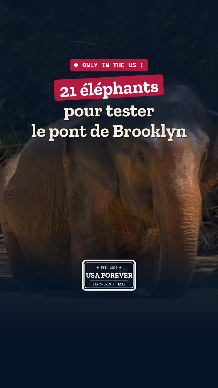 21 éléphants sur le pont de Brooklyn, pour prouver qu'il tenait
