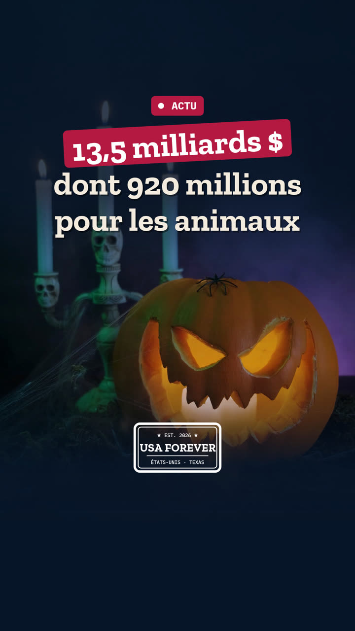 Halloween : 13,5 milliards de dollars, dont 920 millions pour déguiser les animaux