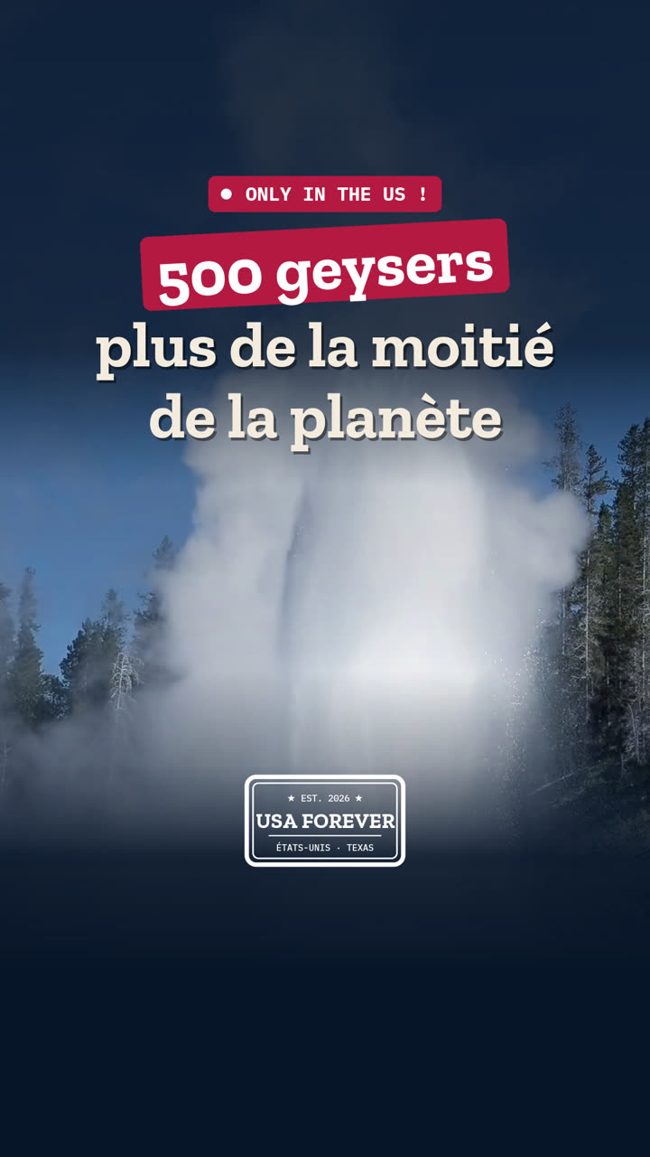 500 geysers, plus de la moitié de la planète : tout ça dans un seul parc américain, Yellowstone